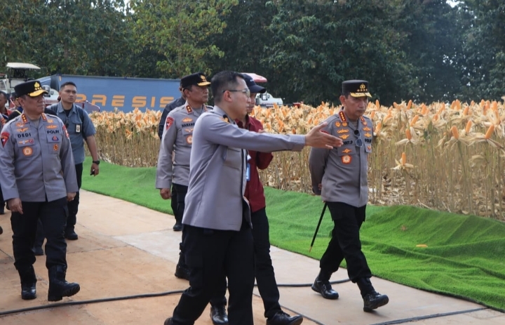 Persiapan Panen Raya Jagung Serentak di Tuban bersama Polri dan petani