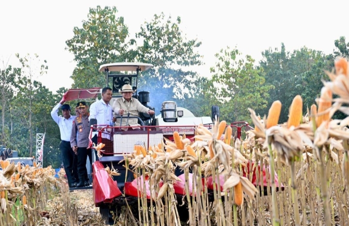 Presiden Prabowo panen jagung bersama petani di Tuban
